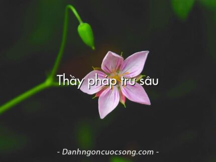 Thầy pháp trừ sâu