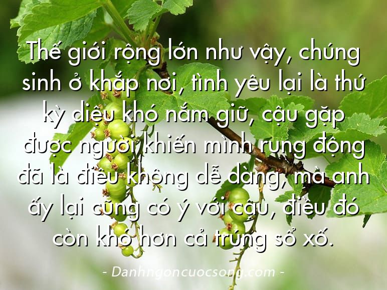 Thế giới rộng lớn như vậy, chúng sinh ở khắp nơi, tình yêu lại là thứ kỳ diệu khó nắm giữ, cậu gặp được người khiến mình rung động đã là điều không dễ dàng, mà anh ấy lại cũng có ý với cậu, điều đó còn khó hơn cả trúng sổ xố.