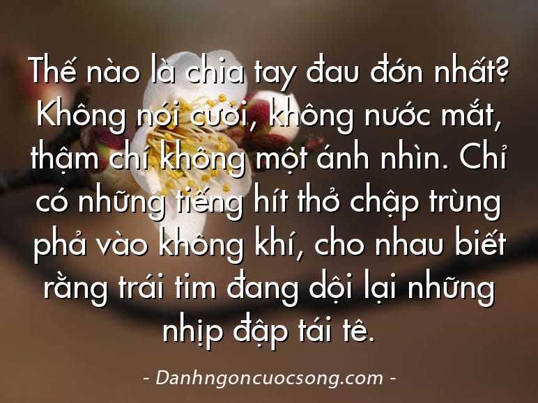 Thế nào là chia tay đau đớn nhất? Không nói cười, không nước mắt, thậm chí không một ánh nhìn. Chỉ có những tiếng hít thở chập trùng phả vào không khí, cho nhau biết rằng trái tim đang dội lại những nhịp đập tái tê.