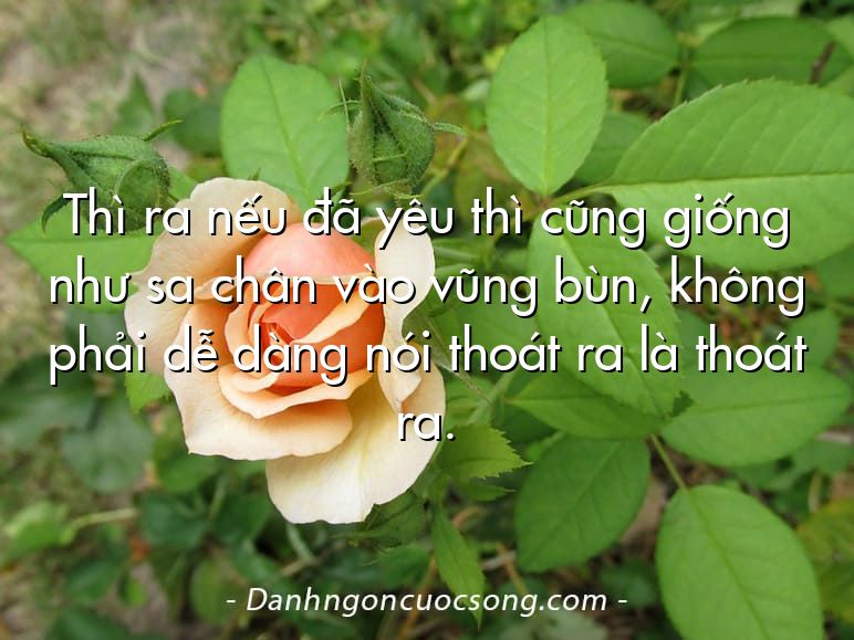 Thì ra nếu đã yêu thì cũng giống như sa chân vào vũng bùn, không phải dễ dàng nói thoát ra là thoát ra.