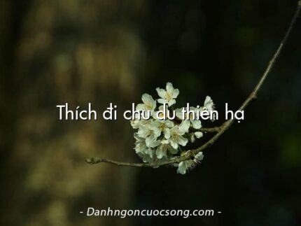 Thích đi chu du thiên hạ