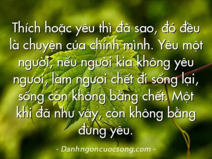 Thích hoặc yêu thì đã sao, đó đều là chuyện của chính mình. Yêu một người, nếu người kia không yêu ngươi, làm ngươi chết đi sống lại, sống còn không bằng chết. Một khi đã như vậy, còn không bằng đừng yêu.