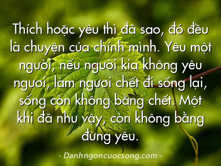 Thích hoặc yêu thì đã sao, đó đều là chuyện của chính mình. Yêu một người, nếu người kia không yêu ngươi, làm ngươi chết đi sống lại, sống còn không bằng chết. Một khi đã như vậy, còn không bằng đừng yêu.
