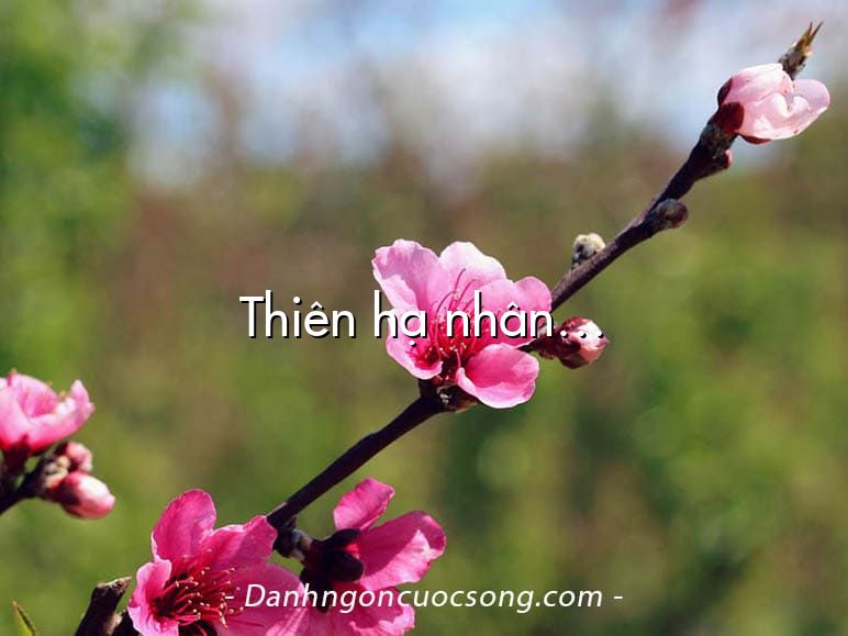Thiên hạ nhân…