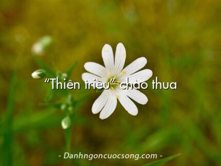 “Thiên triều” chào thua