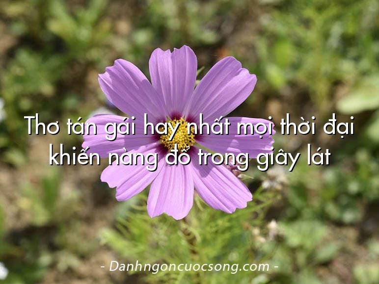 Thơ tán gái hay nhất mọi thời đại khiến nàng đổ trong giây lát