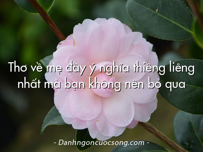 Thơ về mẹ đầy ý nghĩa thiêng liêng nhất mà bạn không nên bỏ qua