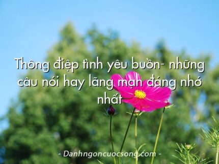 Thông điệp tình yêu buồn- những câu nói hay lãng mạn đáng nhớ nhất
