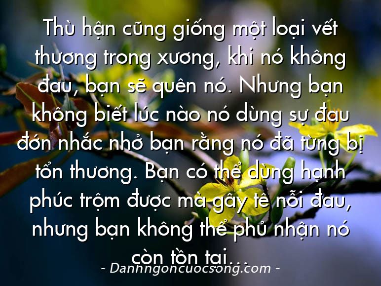 Thù hận cũng giống một loại vết thương trong xương, khi nó không đau, bạn sẽ quên nó. Nhưng bạn không biết lúc nào nó dùng sự đau đớn nhắc nhở bạn rằng nó đã từng bị tổn thương. Bạn có thể dùng hạnh phúc trộm được mà gây tê nỗi đau, nhưng bạn không thể phủ nhận nó còn tồn tại…