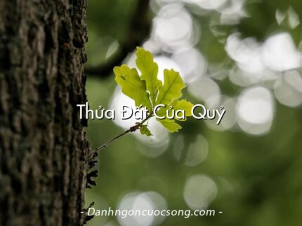 Thửa Đất Của Quỷ