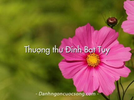 Thượng thư Đinh Bạt Tụy