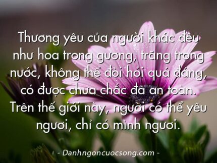 Thương yêu của người khác đều như hoa trong gương, trăng trong nước, không thể đòi hỏi quá đáng, có được chưa chắc đã an toàn. Trên thế giới này, người có thể yêu ngươi, chỉ có mình ngươi.
