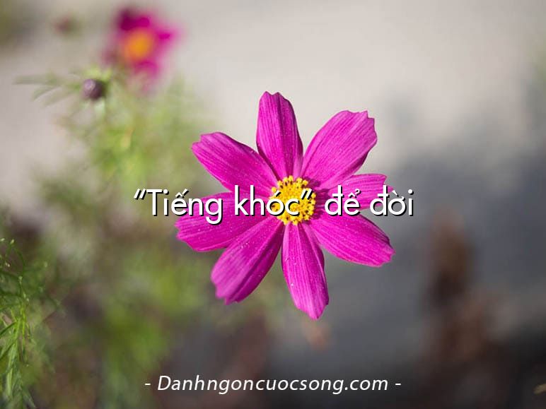 “Tiếng khóc” để đời