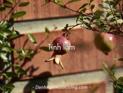 Tính lầm