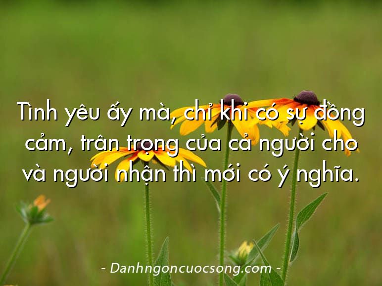 Tình yêu ấy mà, chỉ khi có sự đồng cảm, trân trọng của cả người cho và người nhận thì mới có ý nghĩa.
