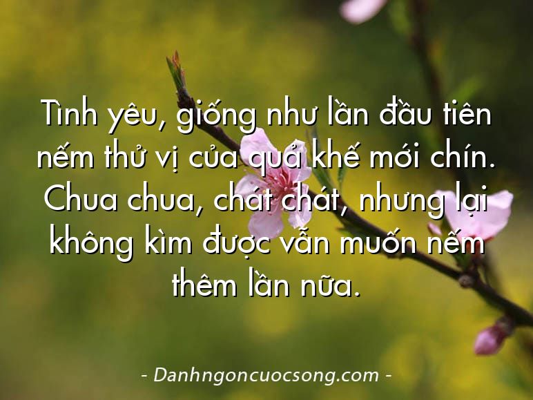 Tình yêu, giống như lần đầu tiên nếm thử vị của quả khế mới chín. Chua chua, chát chát, nhưng lại không kìm được vẫn muốn nếm thêm lần nữa.