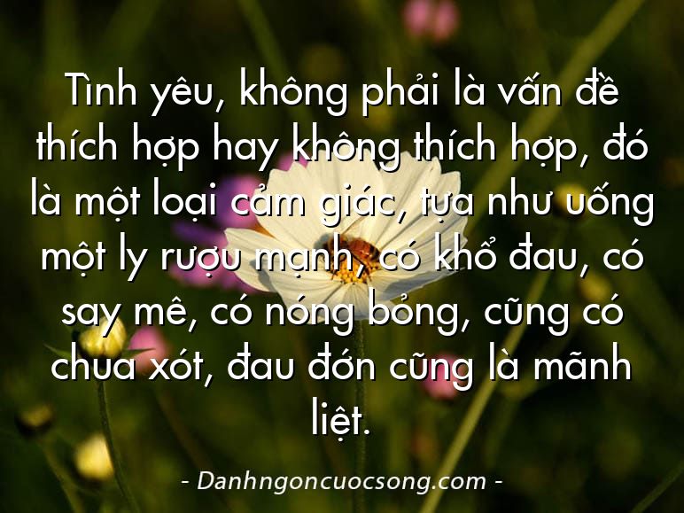 Tình yêu, không phải là vấn đề thích hợp hay không thích hợp, đó là một loại cảm giác, tựa như uống một ly rượu mạnh, có khổ đau, có say mê, có nóng bỏng, cũng có chua xót, đau đớn cũng là mãnh liệt.