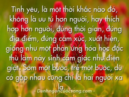 Tình yêu, là một thời khắc nào đó, không là ưu tú hơn người, hay thích hợp hơn người, đúng thời gian, đúng địa điểm, đúng cảm xúc, xuất hiện, giống như một phản ứng hóa học đặc thù làm nảy sinh cảm giác như điện giật. Sớm một bước, trễ một bước, dù có gặp nhau cũng chỉ là hai người xa lạ…