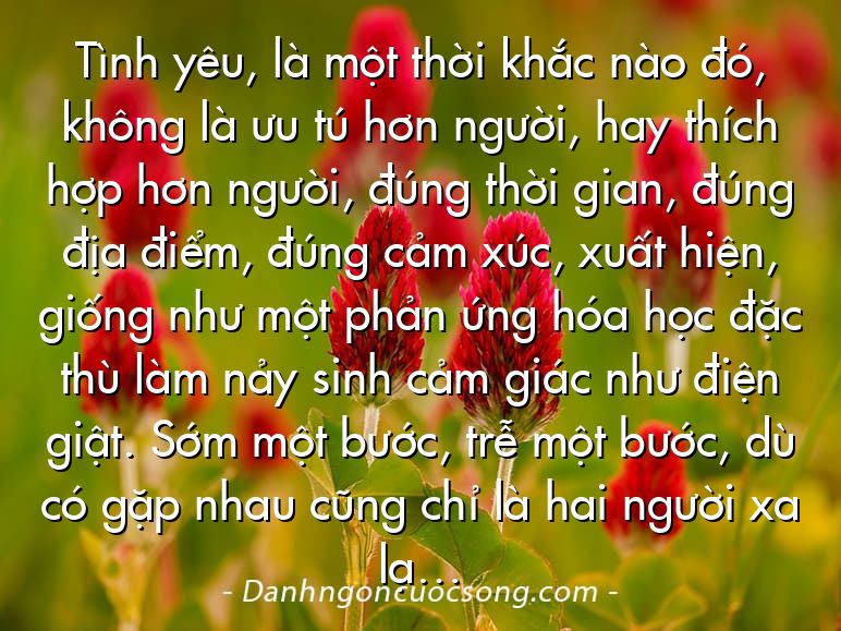 Tình yêu, là một thời khắc nào đó, không là ưu tú hơn người, hay thích hợp hơn người, đúng thời gian, đúng địa điểm, đúng cảm xúc, xuất hiện, giống như một phản ứng hóa học đặc thù làm nảy sinh cảm giác như điện giật. Sớm một bước, trễ một bước, dù có gặp nhau cũng chỉ là hai người xa lạ…