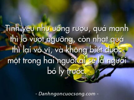 Tình yêu như uống rượu, quá mạnh thì lo vượt ngưỡng, còn nhạt quá thì lại vô vị, và không biết được một trong hai người ai sẽ là người bỏ ly trước.