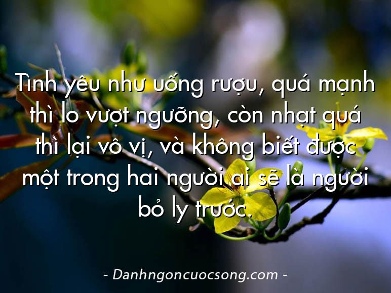 Tình yêu như uống rượu, quá mạnh thì lo vượt ngưỡng, còn nhạt quá thì lại vô vị, và không biết được một trong hai người ai sẽ là người bỏ ly trước.