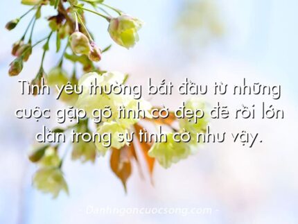 Tình yêu thường bắt đầu từ những cuộc gặp gỡ tình cờ đẹp đẽ rồi lớn dần trong sự tình cờ như vậy.