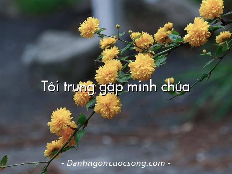 Tôi trung gặp minh chúa