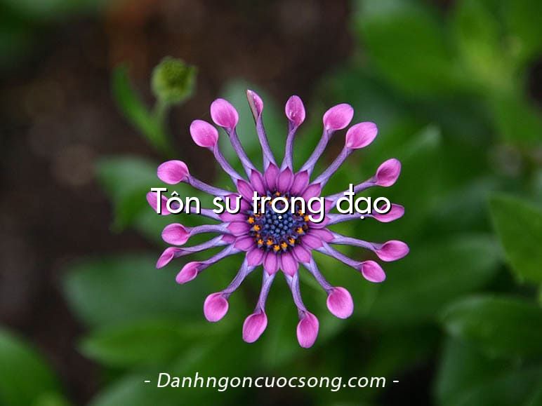 Tôn sư trọng đạo