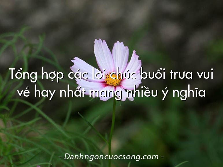 Tổng hợp các lời chúc buổi trưa vui vẻ hay nhất mang nhiều ý nghĩa