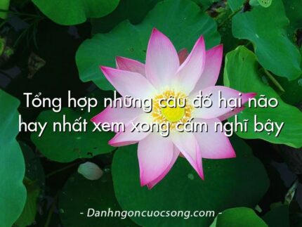 Tổng hợp những câu đố hại não hay nhất xem xong cấm nghĩ bậy