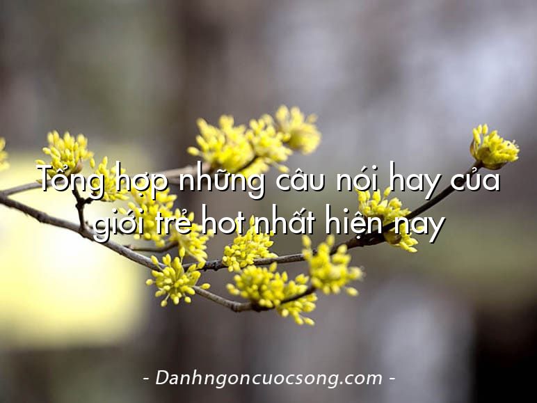 Tổng hợp những câu nói hay của giới trẻ hot nhất hiện nay