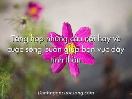 Tổng hợp những câu nói hay về cuộc sống buồn giúp bạn vực dậy tinh thần