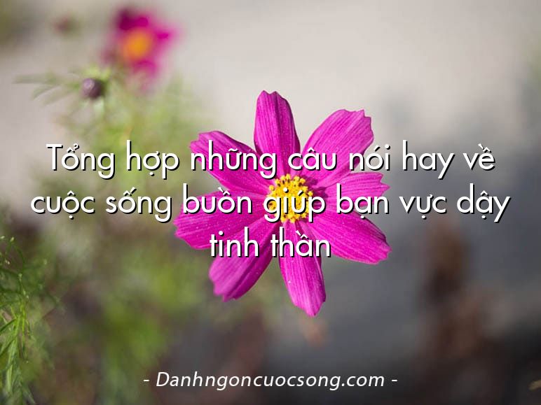 Tổng hợp những câu nói hay về cuộc sống buồn giúp bạn vực dậy tinh thần