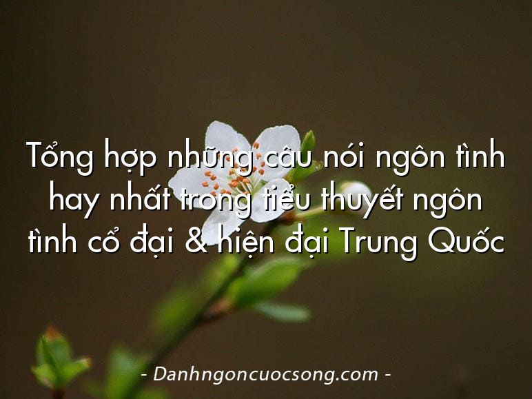 Tổng hợp những câu nói ngôn tình hay nhất trong tiểu thuyết ngôn tình cổ đại & hiện đại Trung Quốc