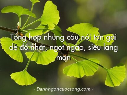 Tổng hợp những câu nói tán gái dễ đổ nhất, ngọt ngào, siêu lãng mạn