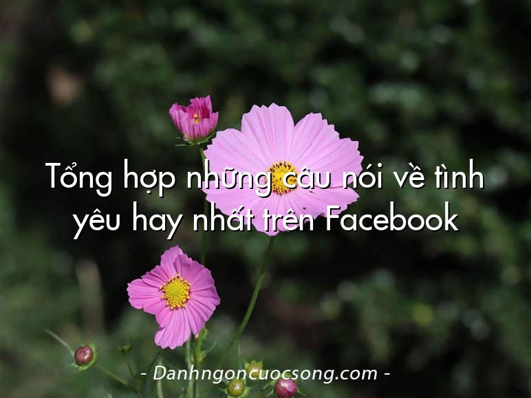 Tổng hợp những câu nói về tình yêu hay nhất trên Facebook