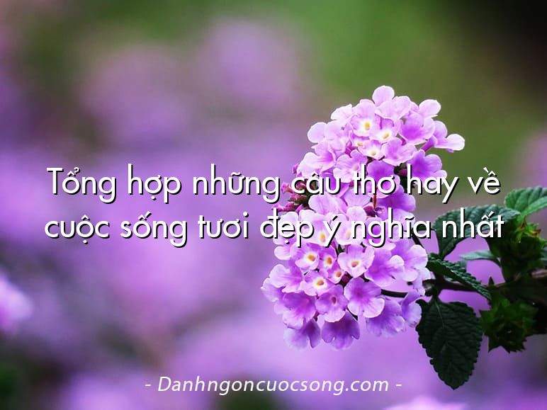 Tổng hợp những câu thơ hay về cuộc sống tươi đẹp ý nghĩa nhất