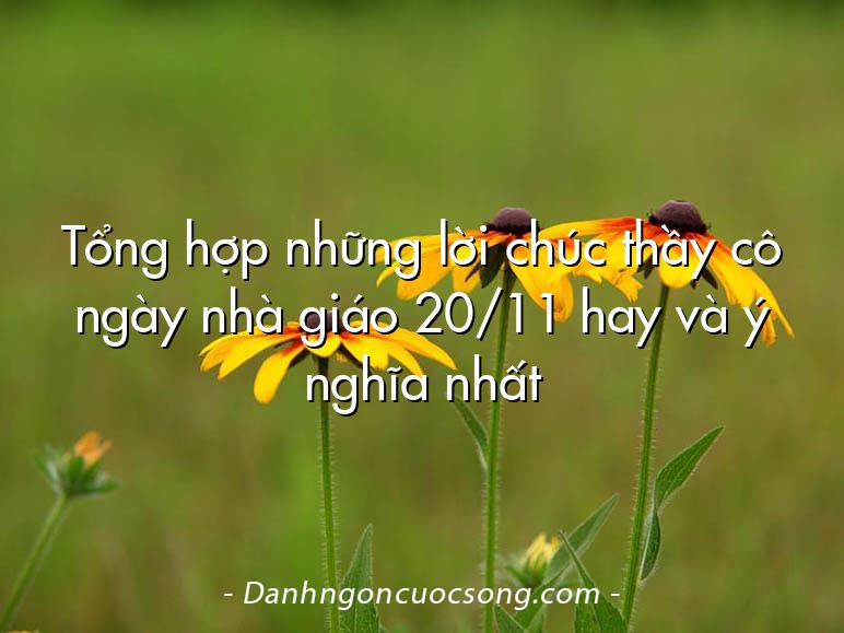 Tổng hợp những lời chúc thầy cô ngày nhà giáo 20/11 hay và ý nghĩa nhất