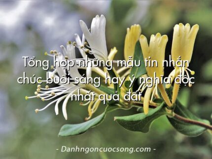 Tổng hợp những mẫu tin nhắn chúc buổi sáng hay ý nghĩa độc nhất quả đất