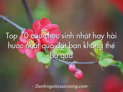 Top 10 câu chúc sinh nhật hay hài hước nhất quả đất bạn không thể bỏ qua