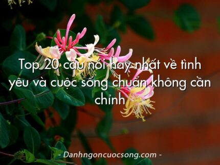 Top 20 câu nói hay nhất về tình yêu và cuộc sống chuẩn không cần chỉnh