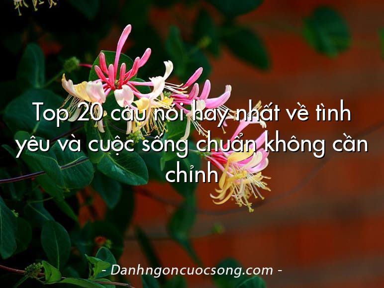 Top 20 câu nói hay nhất về tình yêu và cuộc sống chuẩn không cần chỉnh