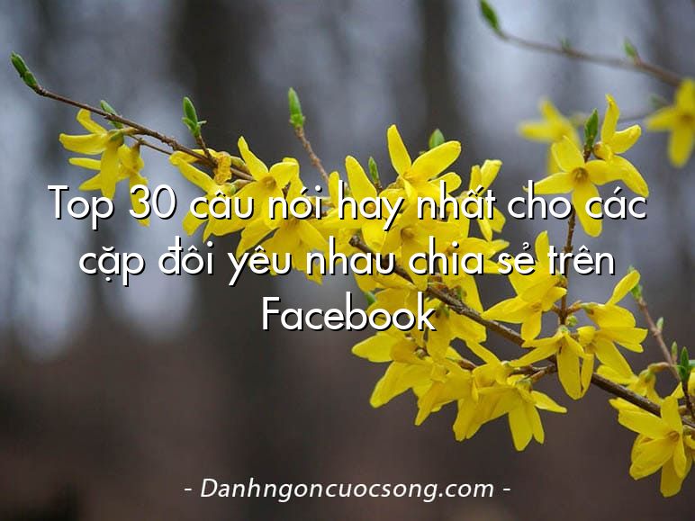 Top 30 câu nói hay nhất cho các cặp đôi yêu nhau chia sẻ trên Facebook