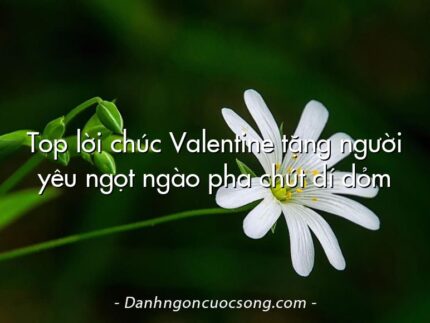 Top lời chúc Valentine tặng người yêu ngọt ngào pha chút dí dỏm