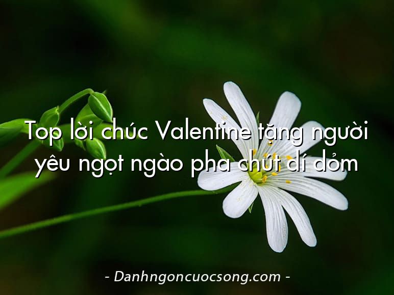 Top lời chúc Valentine tặng người yêu ngọt ngào pha chút dí dỏm
