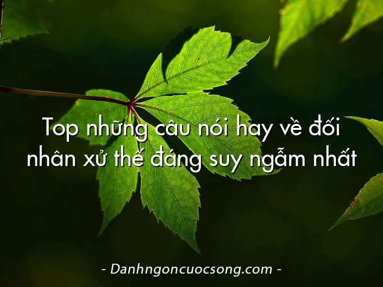 Top những câu nói hay về đối nhân xử thế đáng suy ngẫm nhất