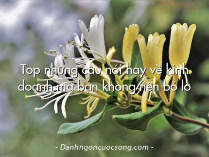 Top những câu nói hay về kinh doanh mà bạn không nên bỏ lỡ