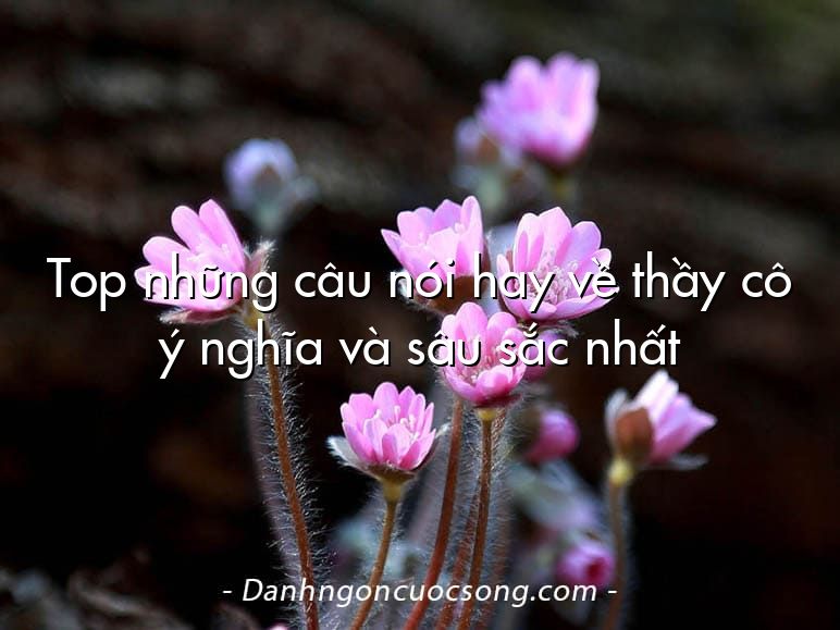 Top những câu nói hay về thầy cô ý nghĩa và sâu sắc nhất