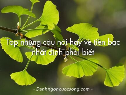 Top những câu nói hay về tiền bạc nhất định phải biết