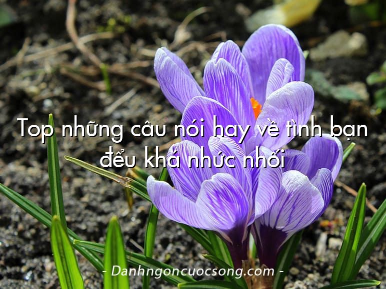 Top những câu nói hay về tình bạn đểu khá nhức nhối